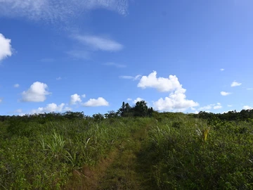 Agricultural Land