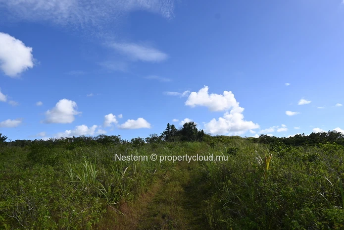 Agricultural land of 12,664 m² 