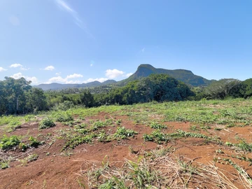 Residential Land