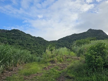 Agricultural Land