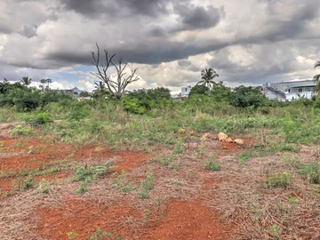 Residential Land