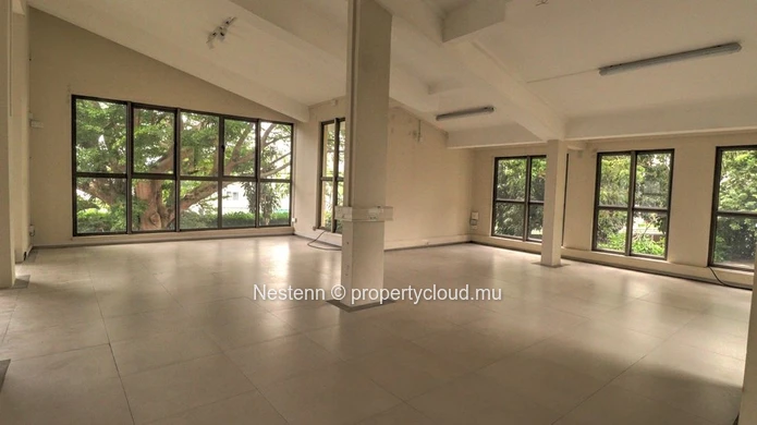Detached house for commercial use