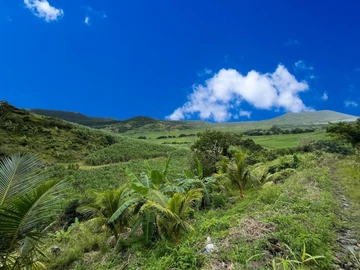 Agricultural Land