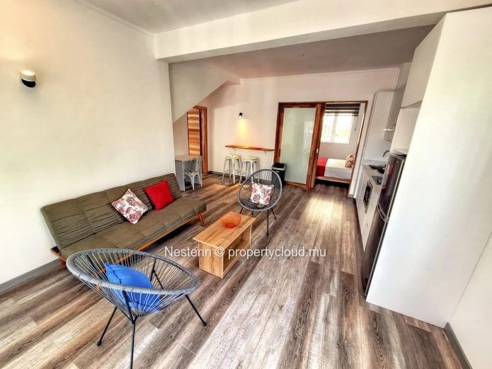 Fully operational short-term rental business 
