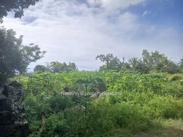 Grand terrain de 1266,26 m²