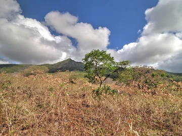 Residential Land