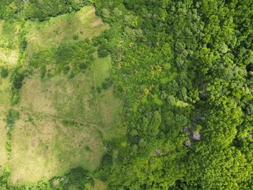 Agricultural Land