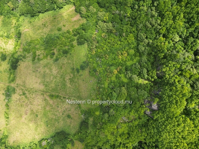Agricultural land of 5 Arpents with magnificent view 