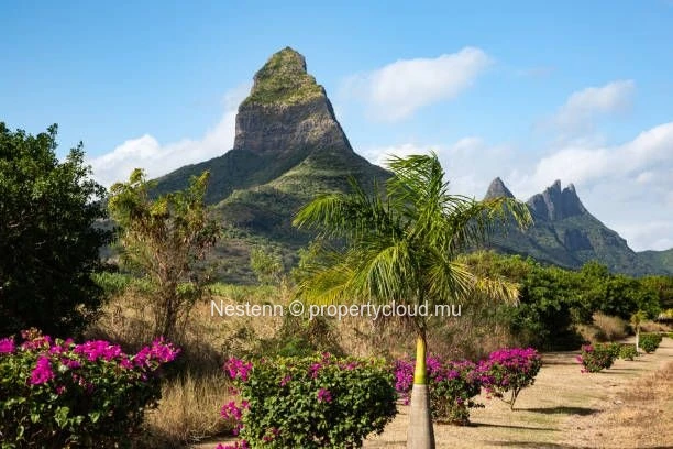 Confortable appartement de 3 chambres en suite au coeur d'un quartier prisé.