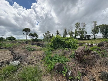 Agricultural Land