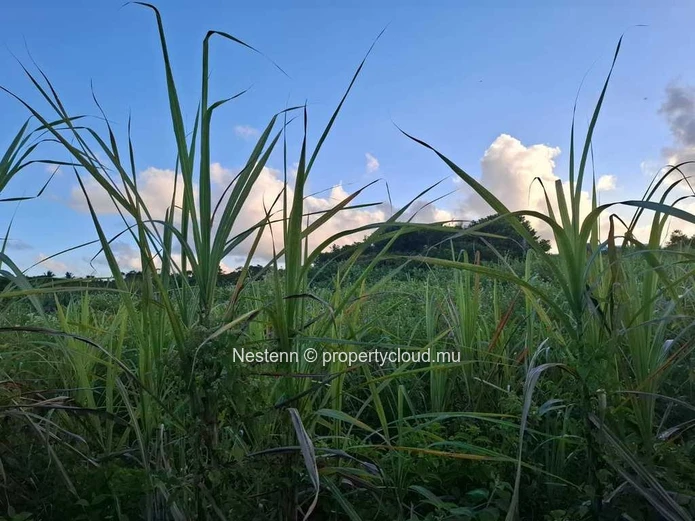 Terrain agricole de 4558,68 m² .