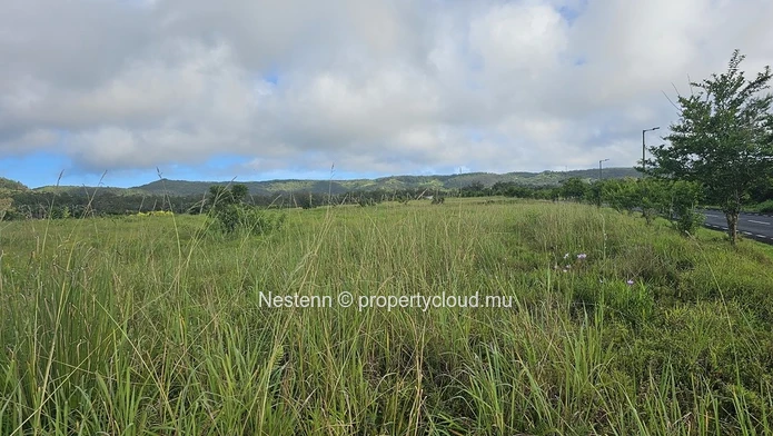 Spectacular 4,600 m² residential corner plot 