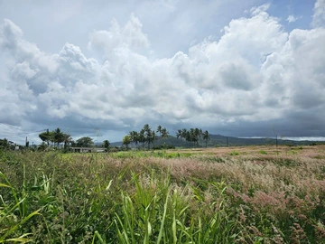 Residential Land