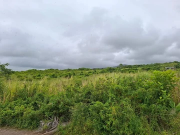 Agricultural Land