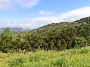 Commercial Land