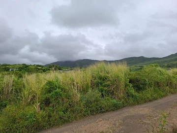 Agricultural Land