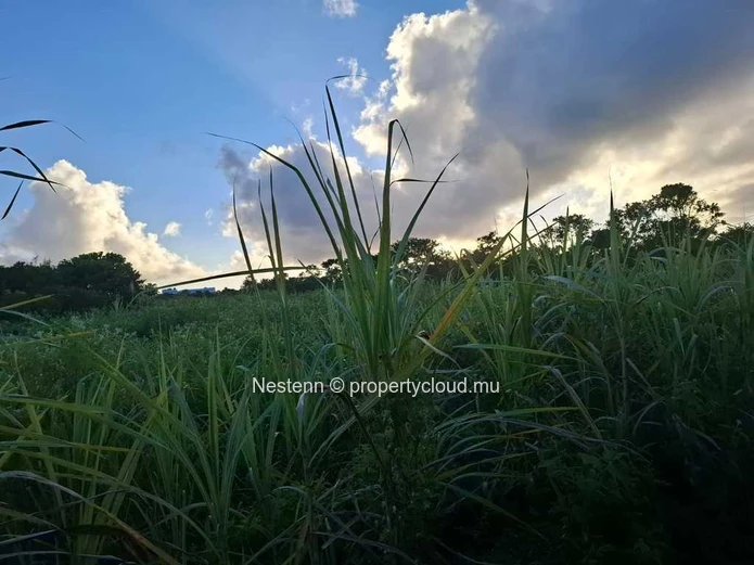 Terrain agricole de 4558,68 m² .