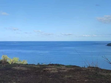 Agricultural Land