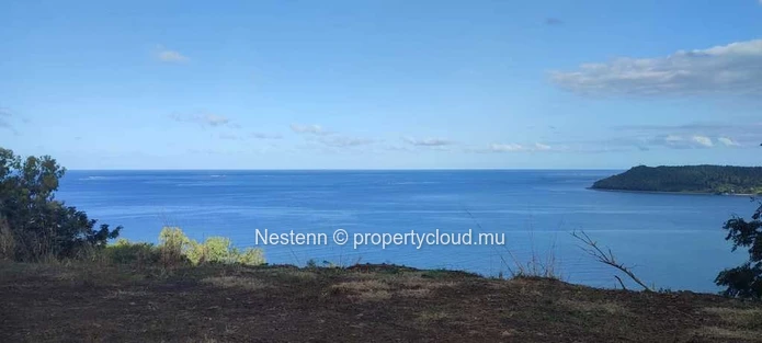 5-arpent land with full ownership.