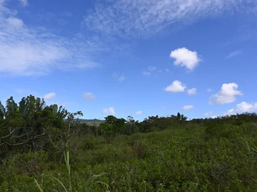 Agricultural Land