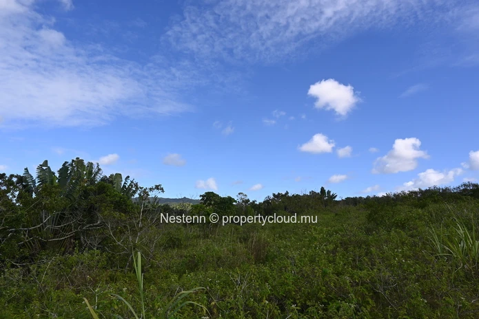 Agricultural land of 12,664 m² 