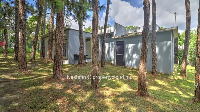 Spacious land of 3250.07 m² 