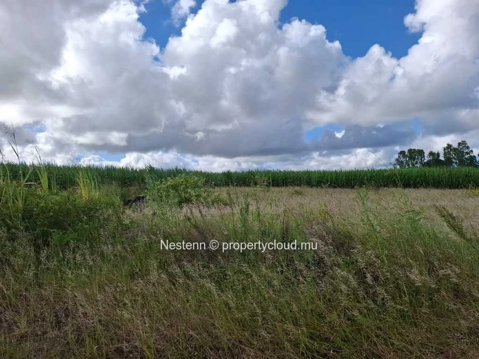 Terrain de 92604 m² avec vue montagne.