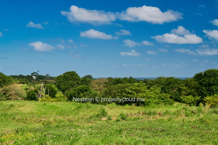 Terrain residentiel de 1000 m²