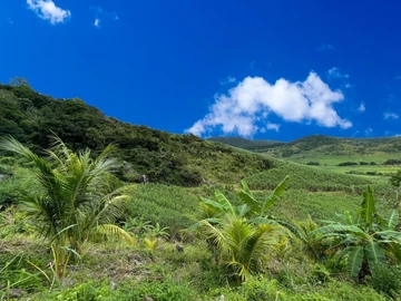 Agricultural Land