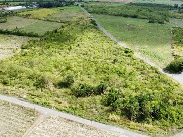 Agricultural Land