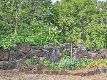 Residential Land