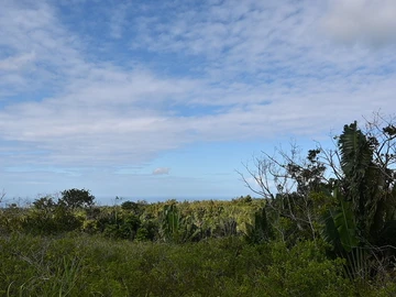 Agricultural Land