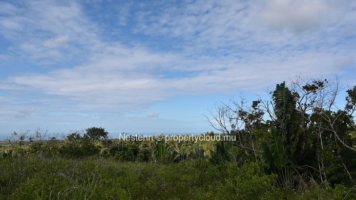 Agricultural land of 12,664 m² 