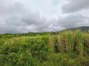 Agricultural Land
