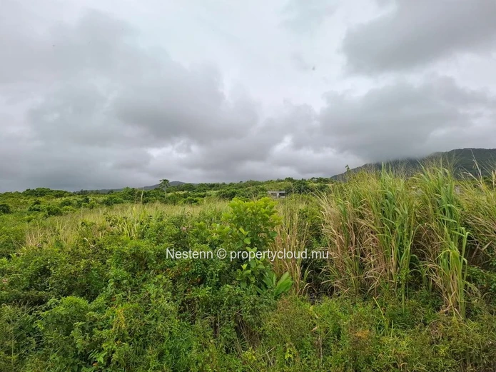 Agricultural land of 12,491.13 m², ideally located in the peaceful and green surroundings 