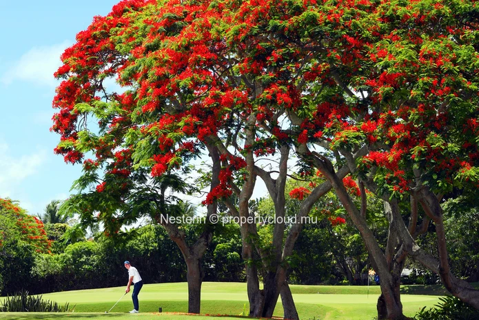 Exquisite golfside living: Luxurious off-plan villa