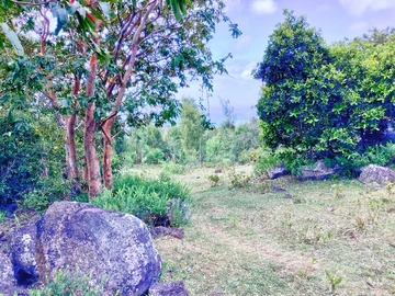 Residential Land