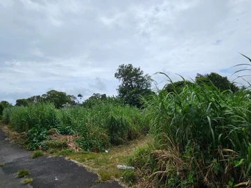 Residential Land