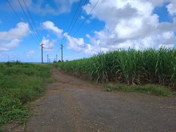Agricultural Land