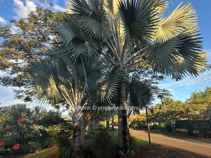 706 m² Residential Plot at Domaine Harmony – Coastal Living Within Reach