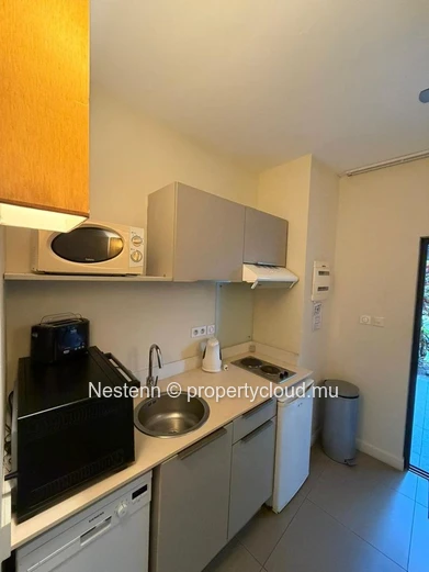 Comtemporary Resort-Style Apartment for rent 