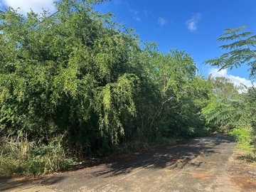 Residential Land