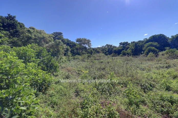 Agricultural land of 52 perches