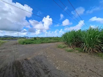 Agricultural Land