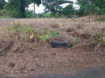 Residential Land