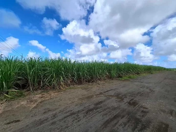 Agricultural Land