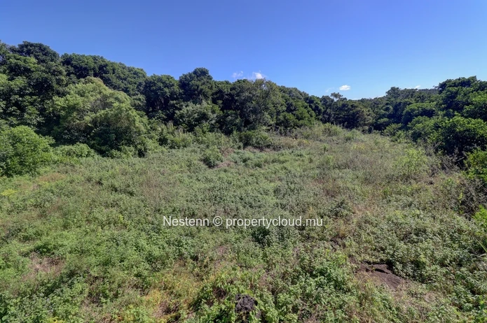 Agricultural land of 52 perches