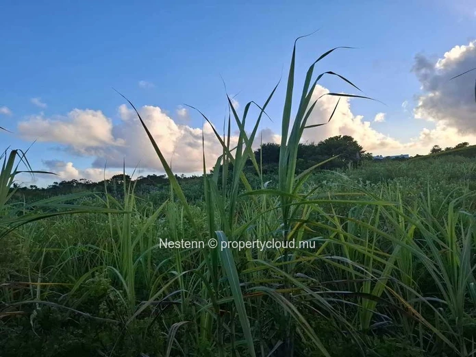 Terrain agricole de 4558,68 m² .