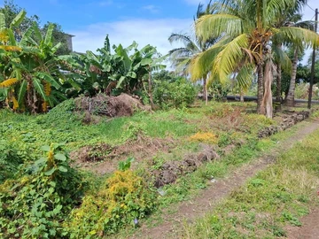 Residential Land