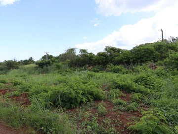 Residential Land